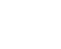 polinski-shoes-logo